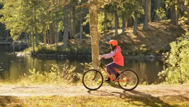 ویدیو دوچرخه سواری کوهستان در مناطق بکر طبیعت