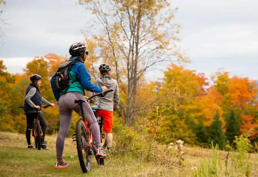 دوچرخه سواری به تنوع زیستی و محافظت از فضاهای سبز کمک می‌کند