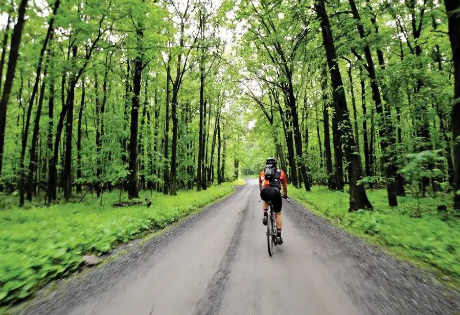 دوچرخه سواری جنگل زدایی را کاهش می‌دهد